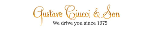 Gustavo Ciucci & Son - branding